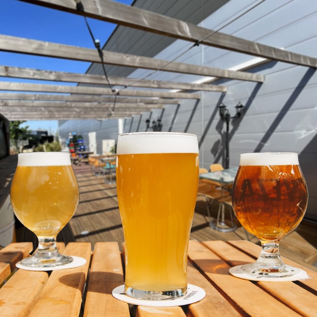 Bières variées : craft beer (bières artisanales) locales, belges et du monde entier